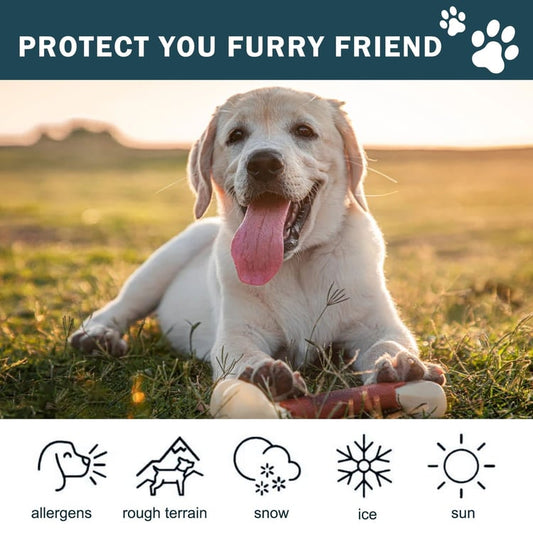 Paw & Nose Soother Balm - For Dry & Cracked Paws & Nose - Organic Natural Nourishing Cream