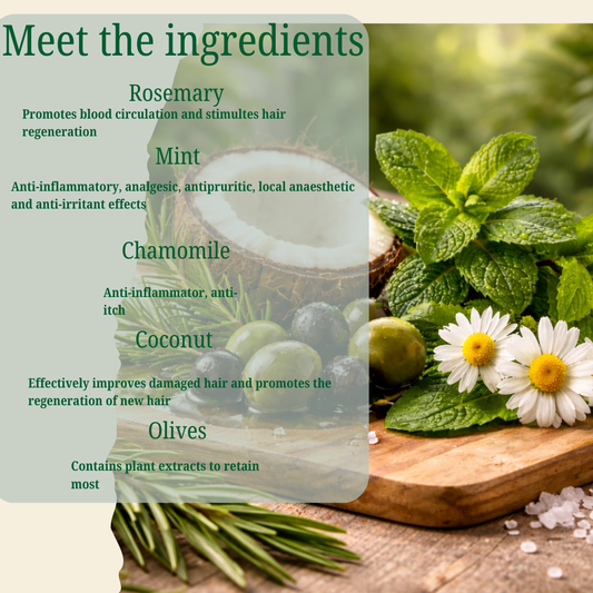 Rosemary Hair Growth Shampoo and Conditioner Set, 300ml Each, Biotin Infused, Strengthening Formula