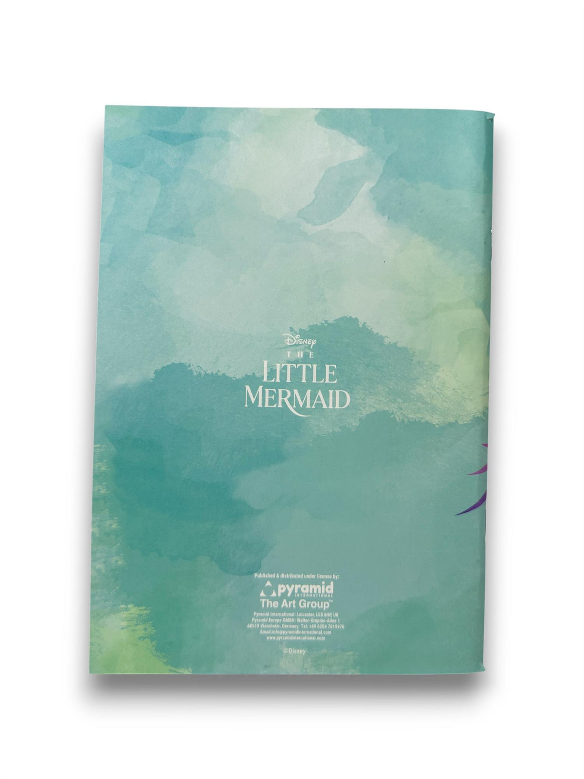 Disney The Little Mermaid Set of 2 A5 Exercise Books (Find Your Voice Design) - Official Merchandise