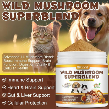 Ultimate Dog Health & Grooming Bundle 8PCS