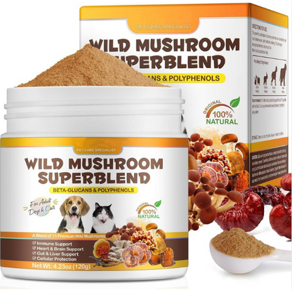 Wild Mushroom Superblend For Adult Cats & Dogs - Immune System Support and Health Well-being