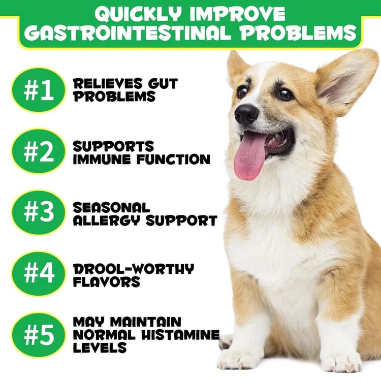 Probiotics for Dogs – 30 Chews, Gut Health & Digestive Support, Duck Flavour