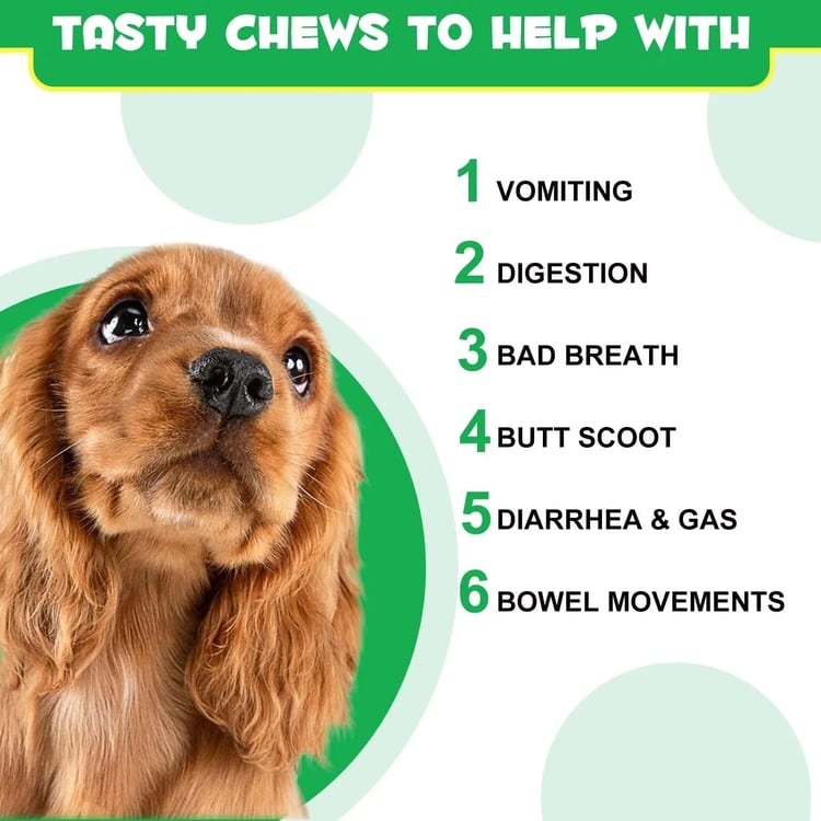 Probiotics for Dogs – 30 Chews, Gut Health & Digestive Support, Duck Flavour