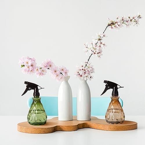 Vwoqiy 2 Pcs Empty Spray Bottles