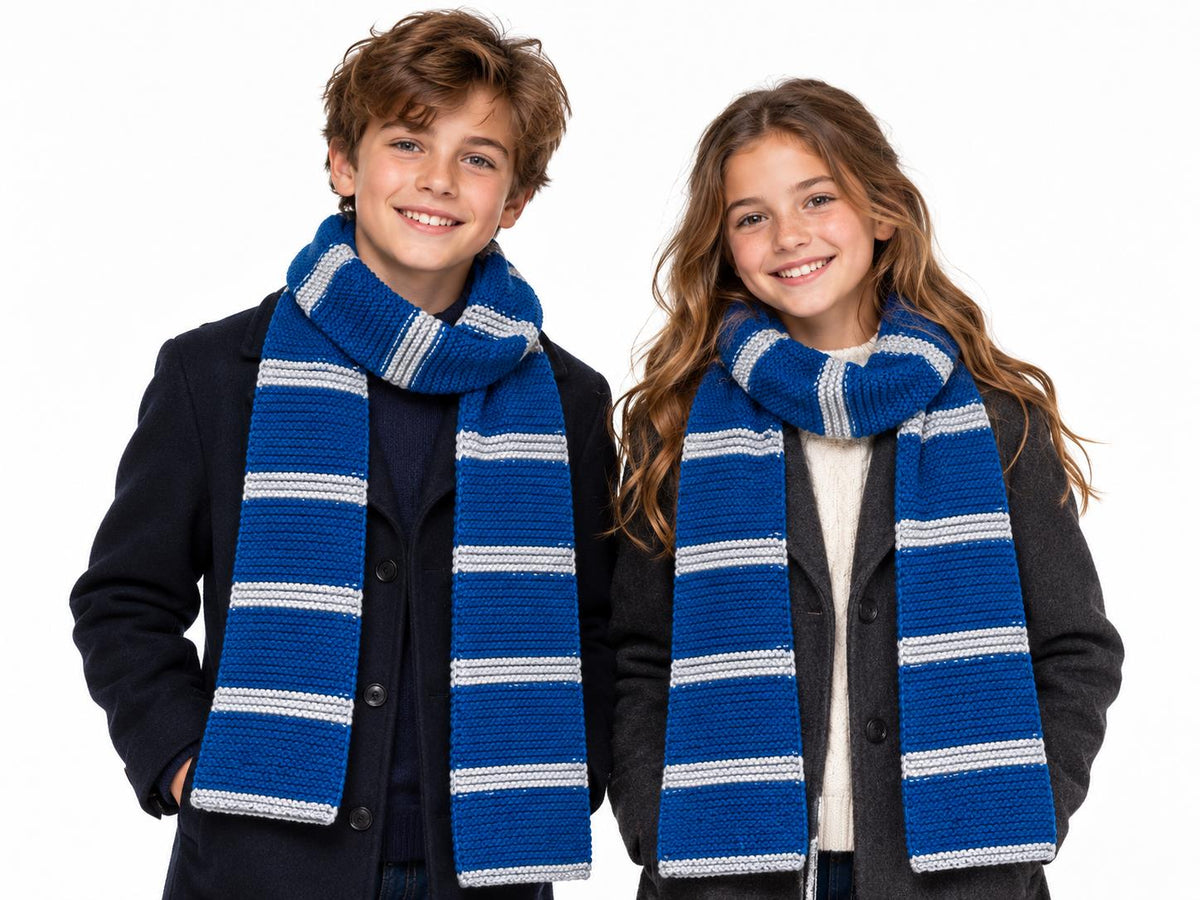 Harry Potter Self-Striping Yarn - Ravenclaw