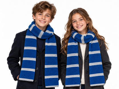 Harry Potter Self-Striping Yarn - Ravenclaw