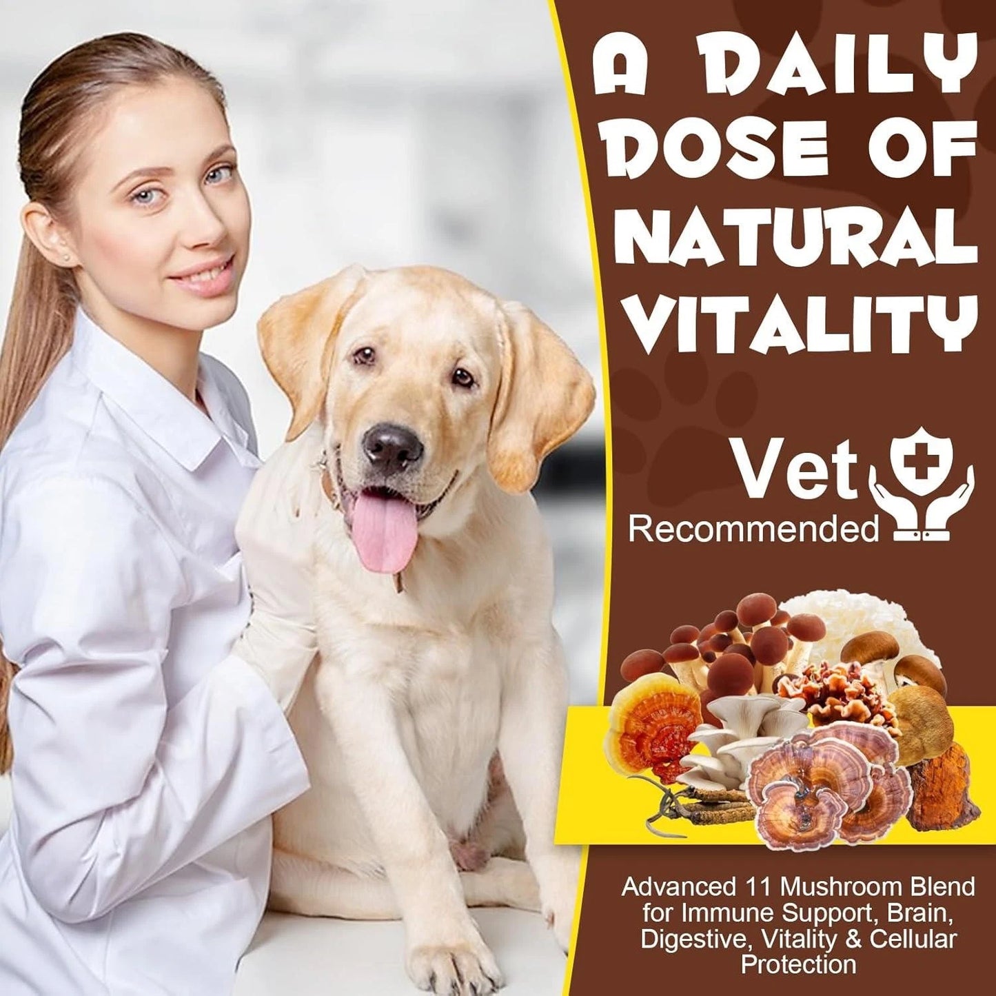 Wild Mushroom Superblend For Adult Cats & Dogs - Immune System Support and Health Well-being